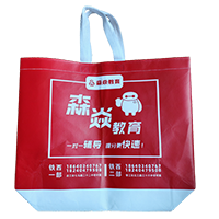 承德LB37培训班广告袋